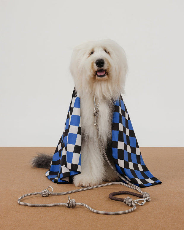 🦴 Versatile, Strong & Stylish – The Leash That Does It All !