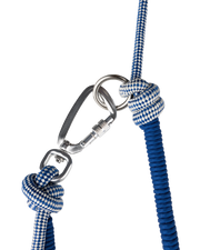 🦴 Versatile, Strong & Stylish – The Leash That Does It All !