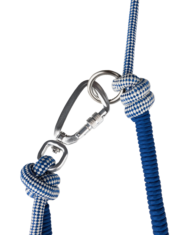 🦴 Versatile, Strong & Stylish – The Leash That Does It All !