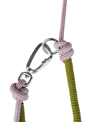 🦴 Versatile, Strong & Stylish – The Leash That Does It All !